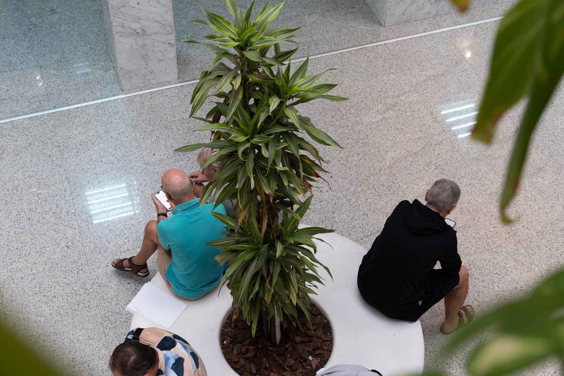 Alquiler a largo plazo - Commercial Unit -
Orihuela Costa - Playa Flamenca