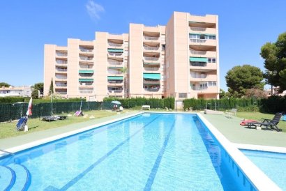 Apartment - Återförsäljning - Orihuela Costa - La Zenia