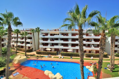 Apartment - Återförsäljning - Playa Flamenca - Playa Flamenca