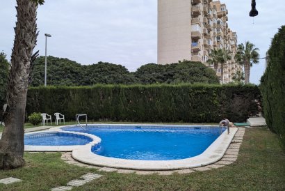 Apartment - Återförsäljning - Torrevieja - Torrevieja