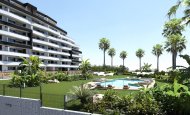 Apartment - Obra nueva -
            San Miguel - NBS-78958