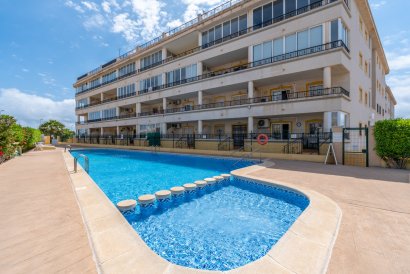 Apartment - Resale - Playa Flamenca - Playa Flamenca