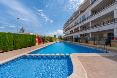 Apartment - Resale - Playa Flamenca - Playa Flamenca