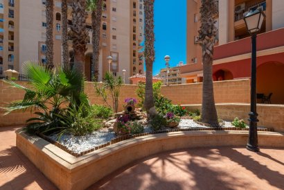 Apartment - Resale - Torrevieja - Playa de los Locos