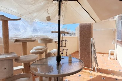 Apartment - Resale - Torrevieja - Torrevieja