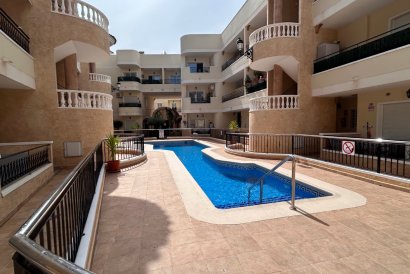 Apartment - Reventa - Jacarilla - Jacarilla