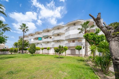 Apartment - Reventa - Orihuela Costa - Cabo Roig