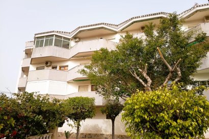 Apartment - Reventa - Orihuela Costa - La Regia