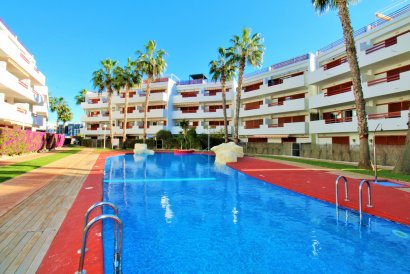 Apartment - Reventa - Playa Flamenca - Playa Flamenca