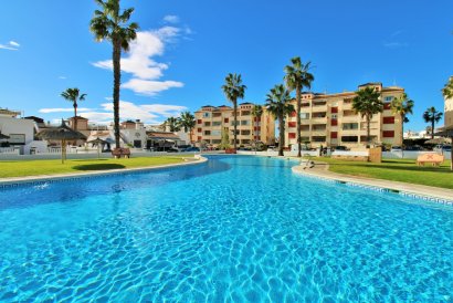 Apartment - Reventa - Playa Flamenca - Playa Flamenca