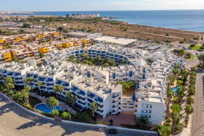 Apartment - Reventa - Playa Flamenca - Playa Flamenca
