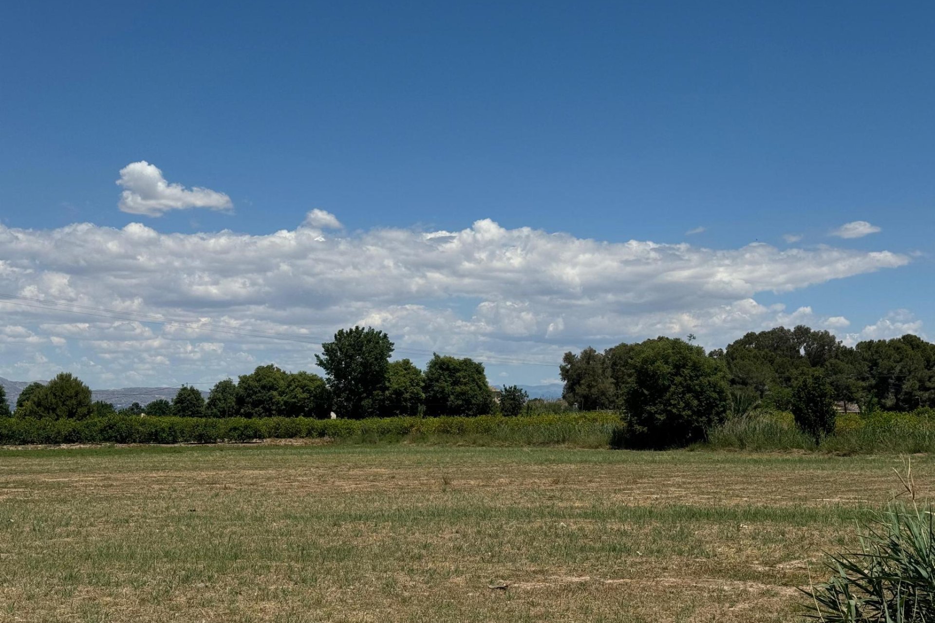 Återförsäljning - Apartment -
Almoradi - Almoradí