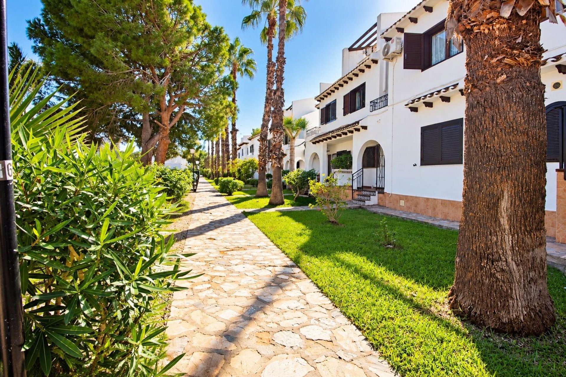Återförsäljning - Apartment -
Cabo Roig