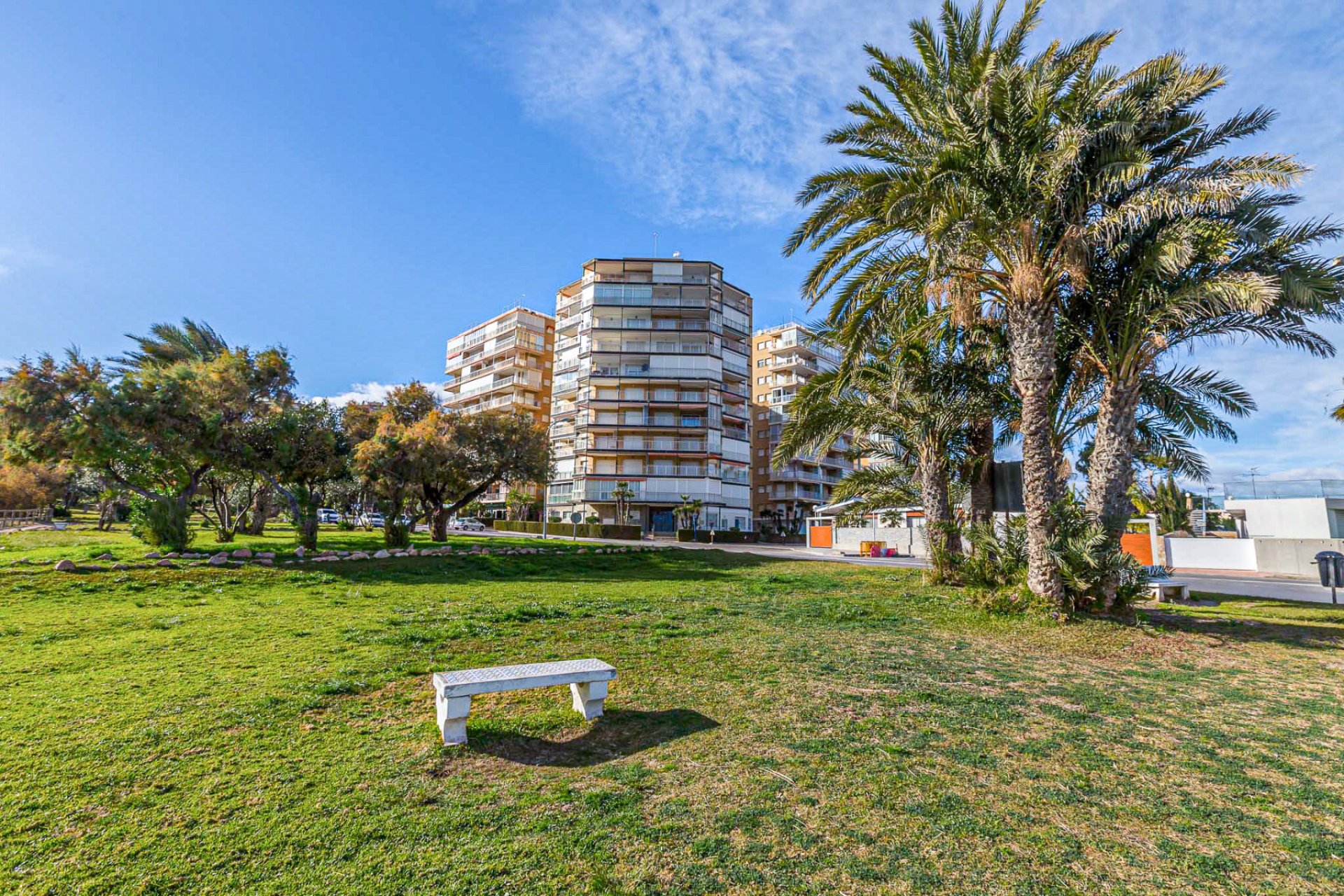 Återförsäljning - Apartment -
Campoamor - Dehesa de Campoamor