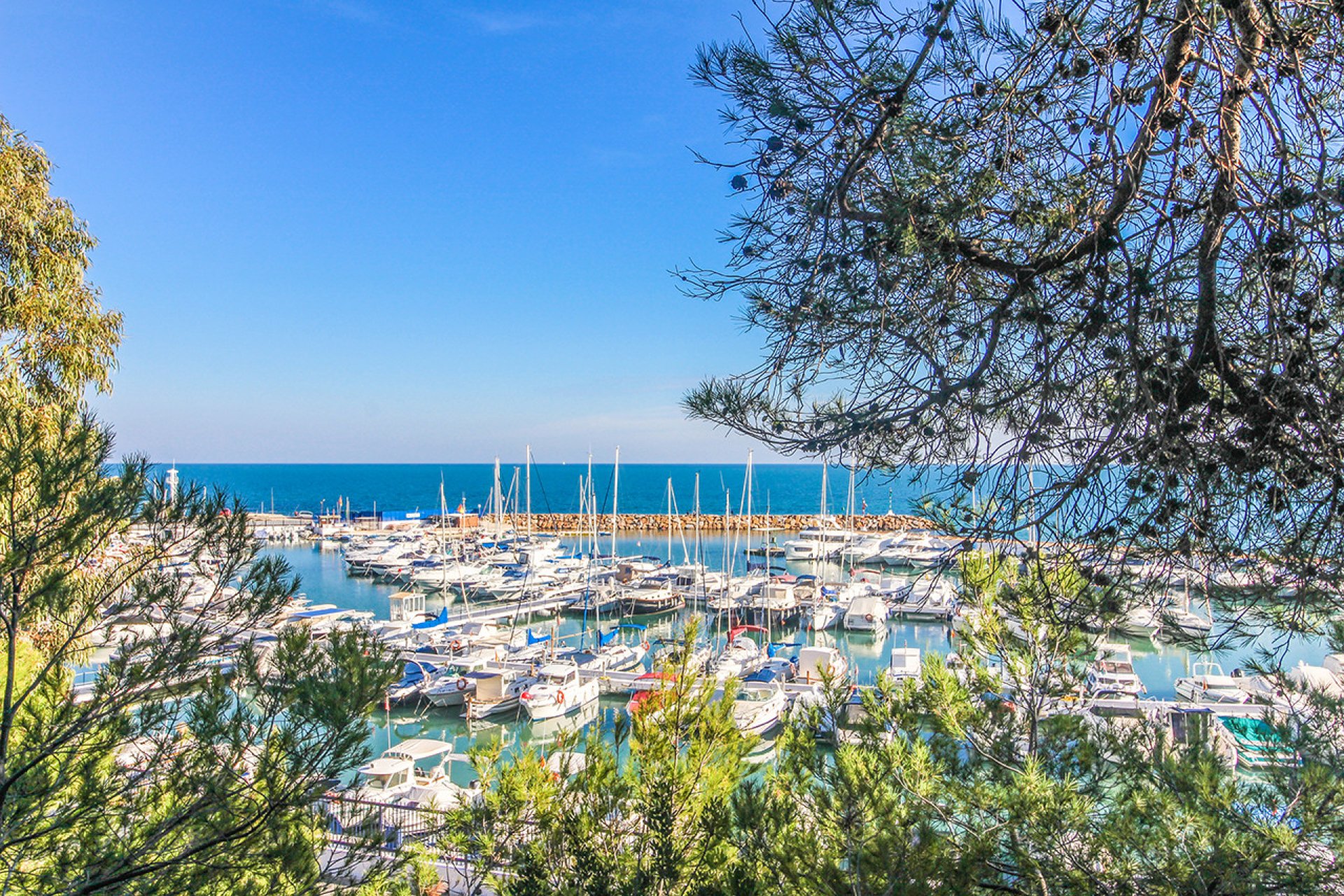 Återförsäljning - Apartment -
Campoamor - Dehesa de Campoamor