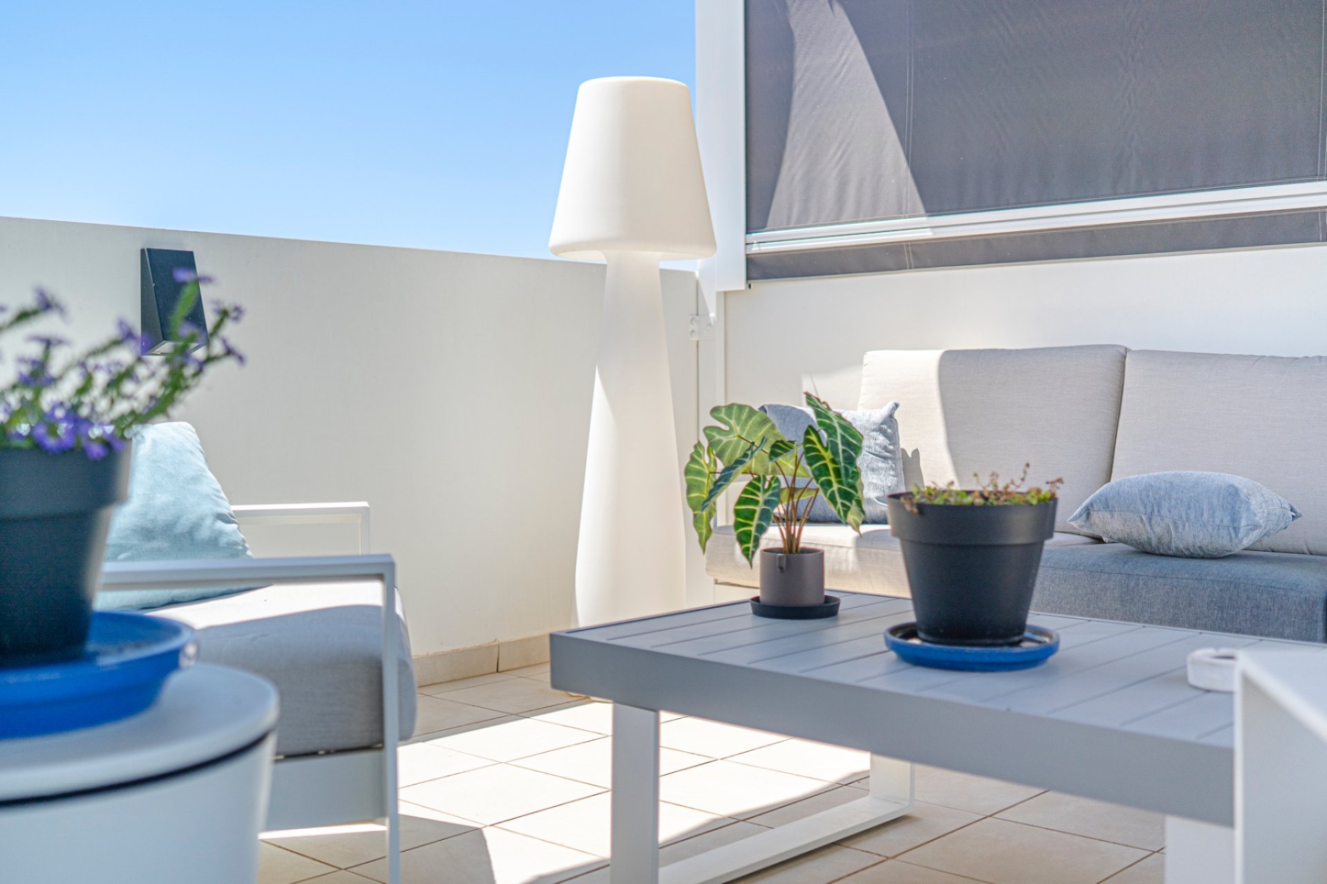 Återförsäljning - Apartment -
Ciudad quesada - Ciudad Quesada