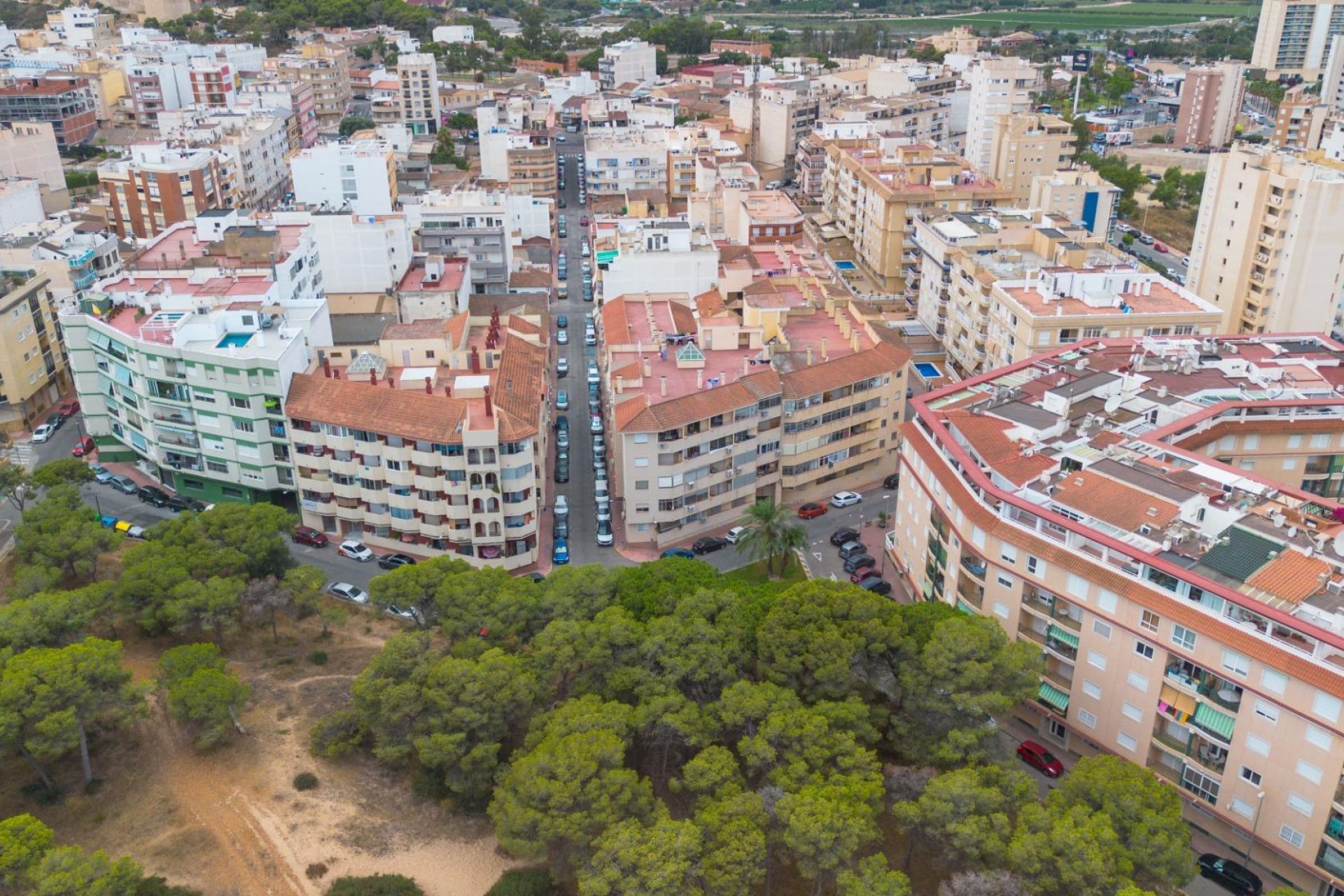 Återförsäljning - Apartment -
Guardamar del Segura - Center
