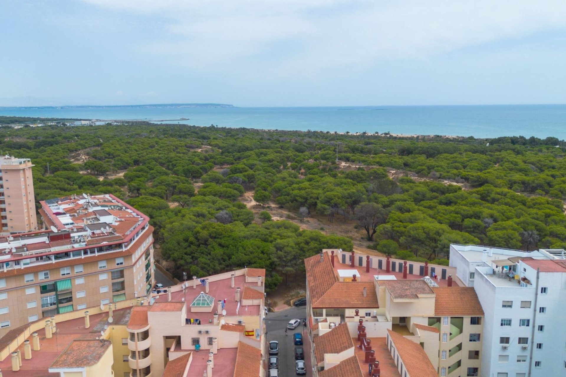 Återförsäljning - Apartment -
Guardamar del Segura - Center