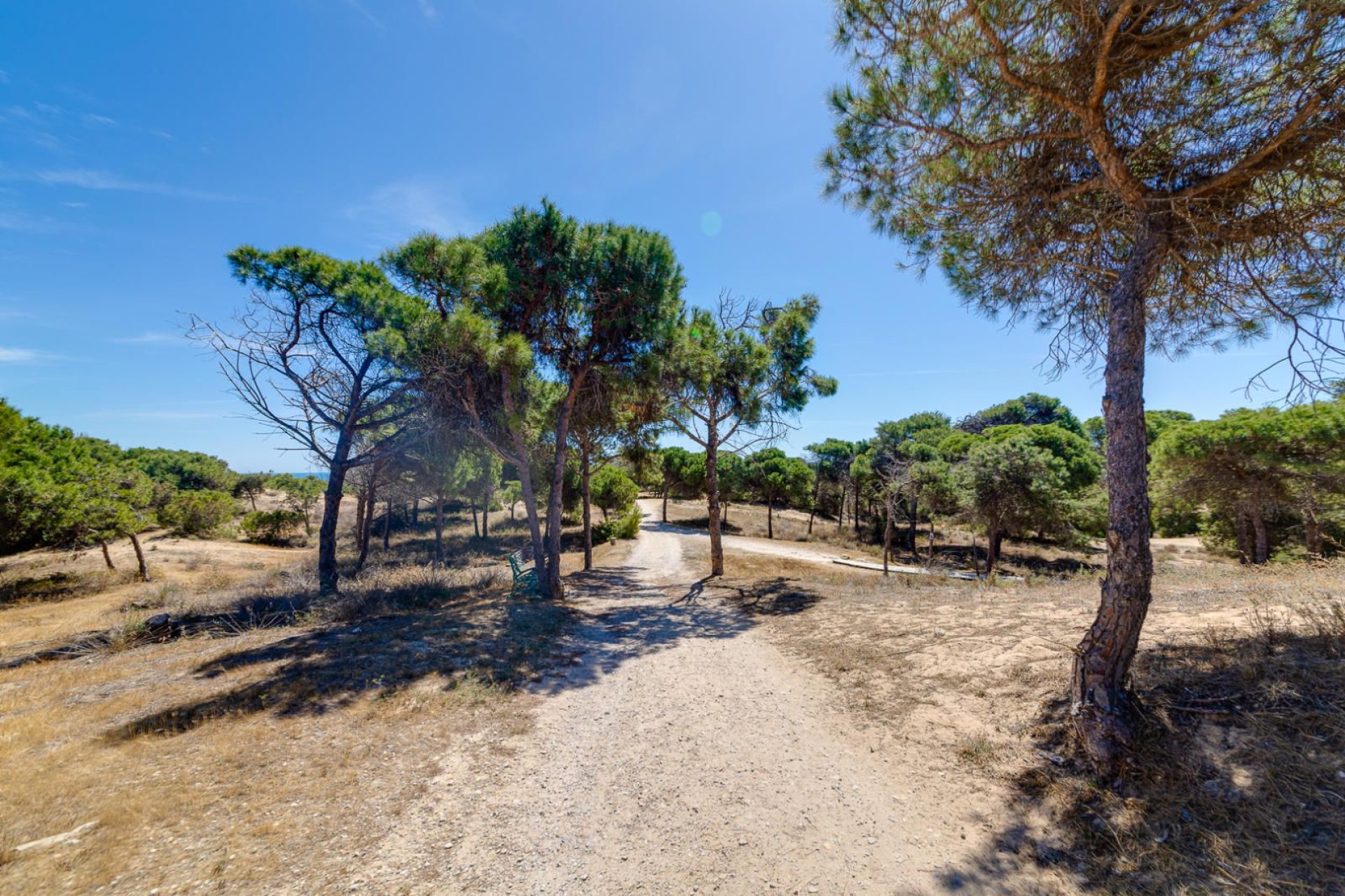 Återförsäljning - Apartment -
Guardamar del Segura - Pinomar