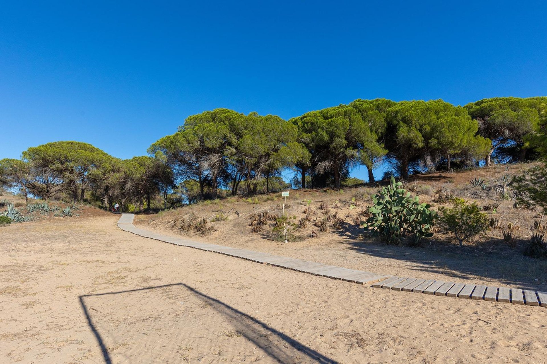 Återförsäljning - Apartment -
Guardamar del Segura - Urb. pinomar