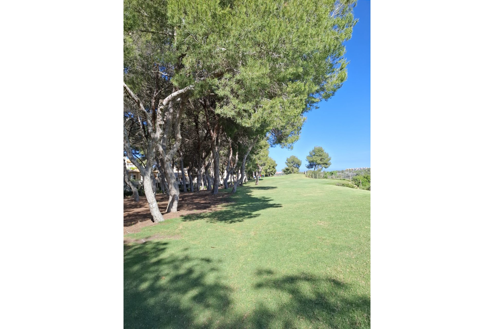 Återförsäljning - Apartment -
Las Ramblas - Orihuela Costa