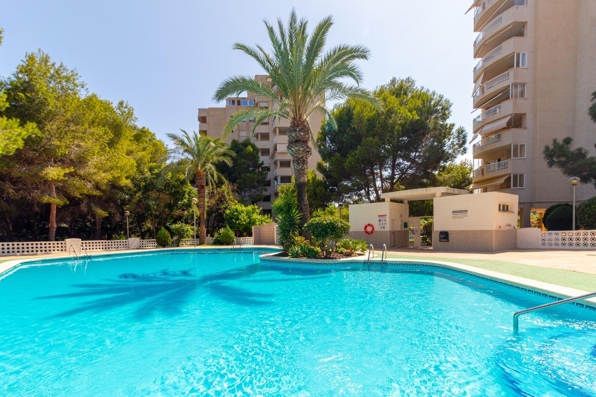 Återförsäljning - Apartment -
Orihuela Costa - Campoamor