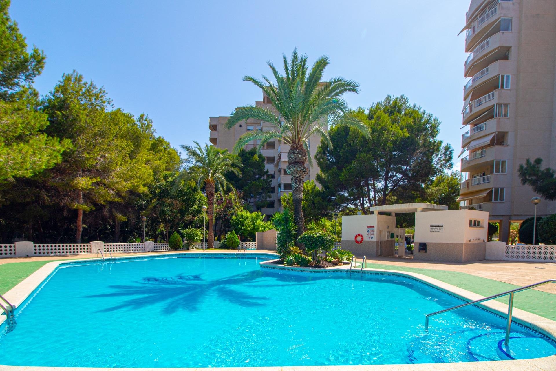 Återförsäljning - Apartment -
Orihuela Costa - Campoamor