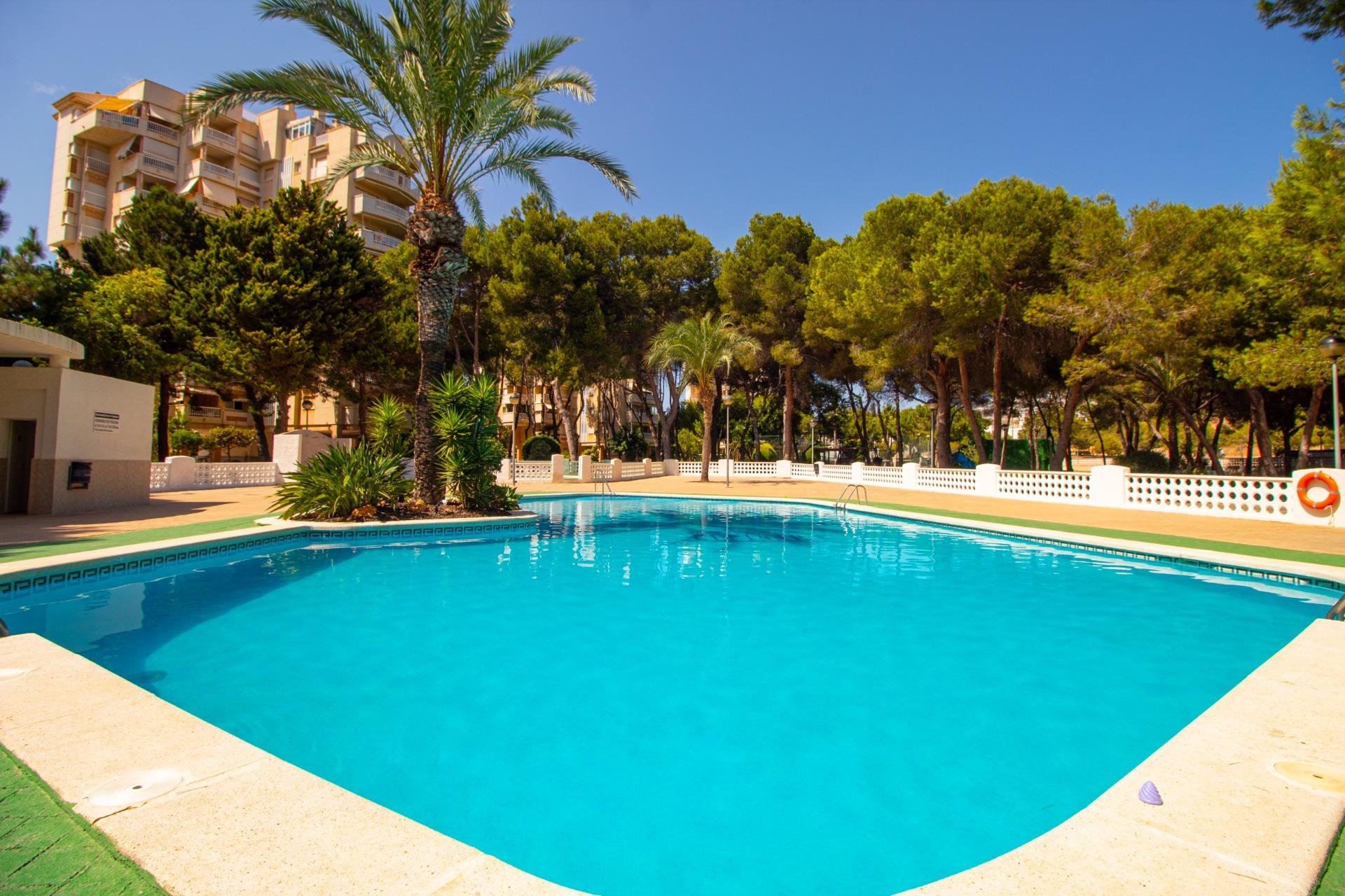 Återförsäljning - Apartment -
Orihuela Costa - Campoamor