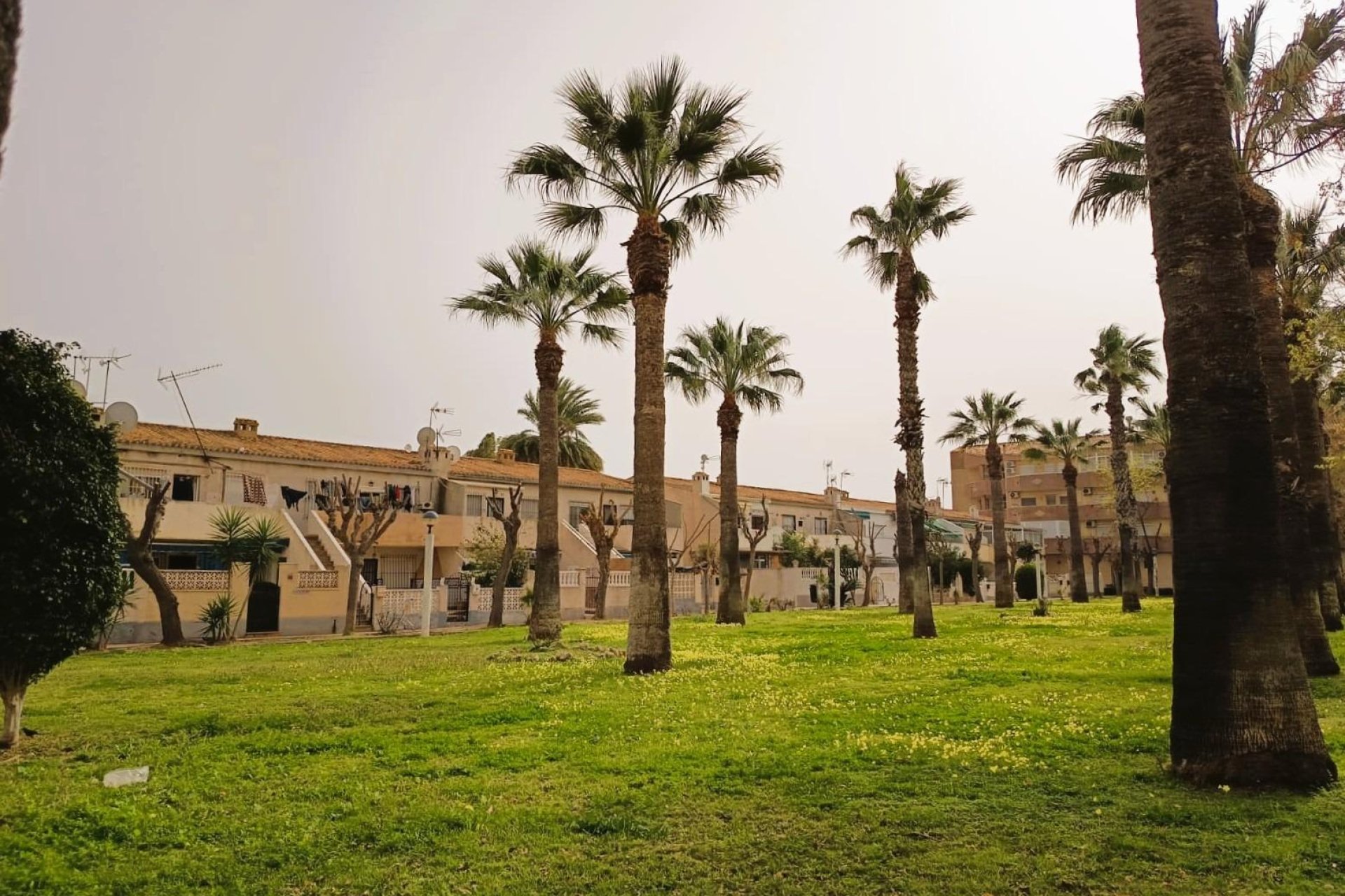 Återförsäljning - Apartment -
Orihuela Costa - La Regia