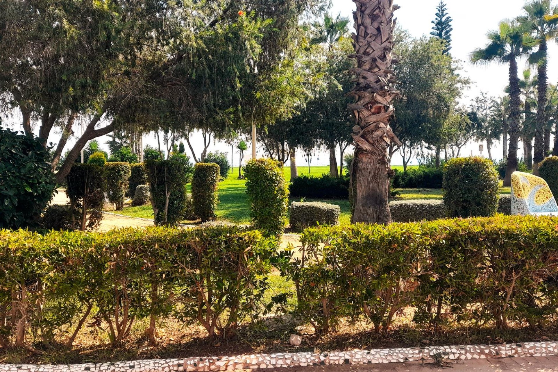 Återförsäljning - Apartment -
Oropesa Del Mar - Oropesa del Mar