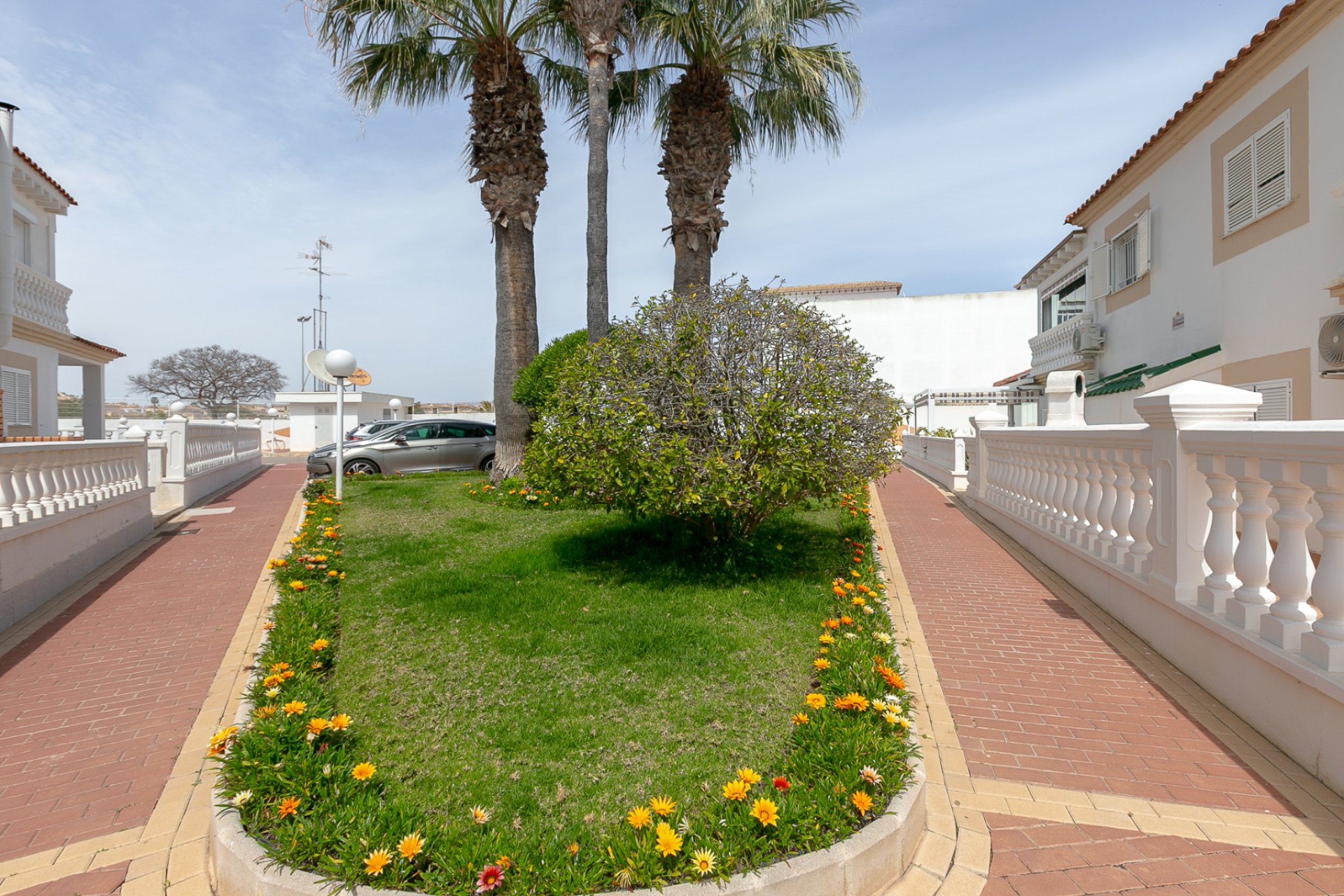 Återförsäljning - Apartment -
Playa Flamenca - Zenia Mar