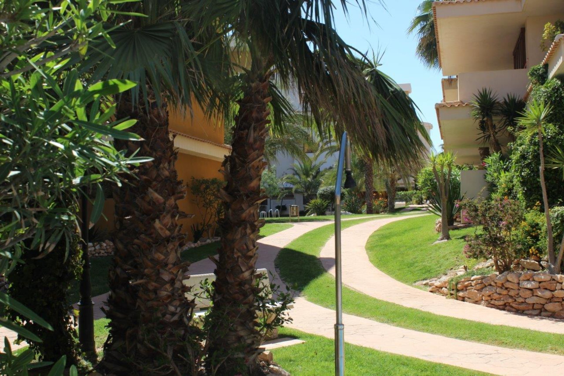 Återförsäljning - Apartment -
Punta Prima - La Entrada