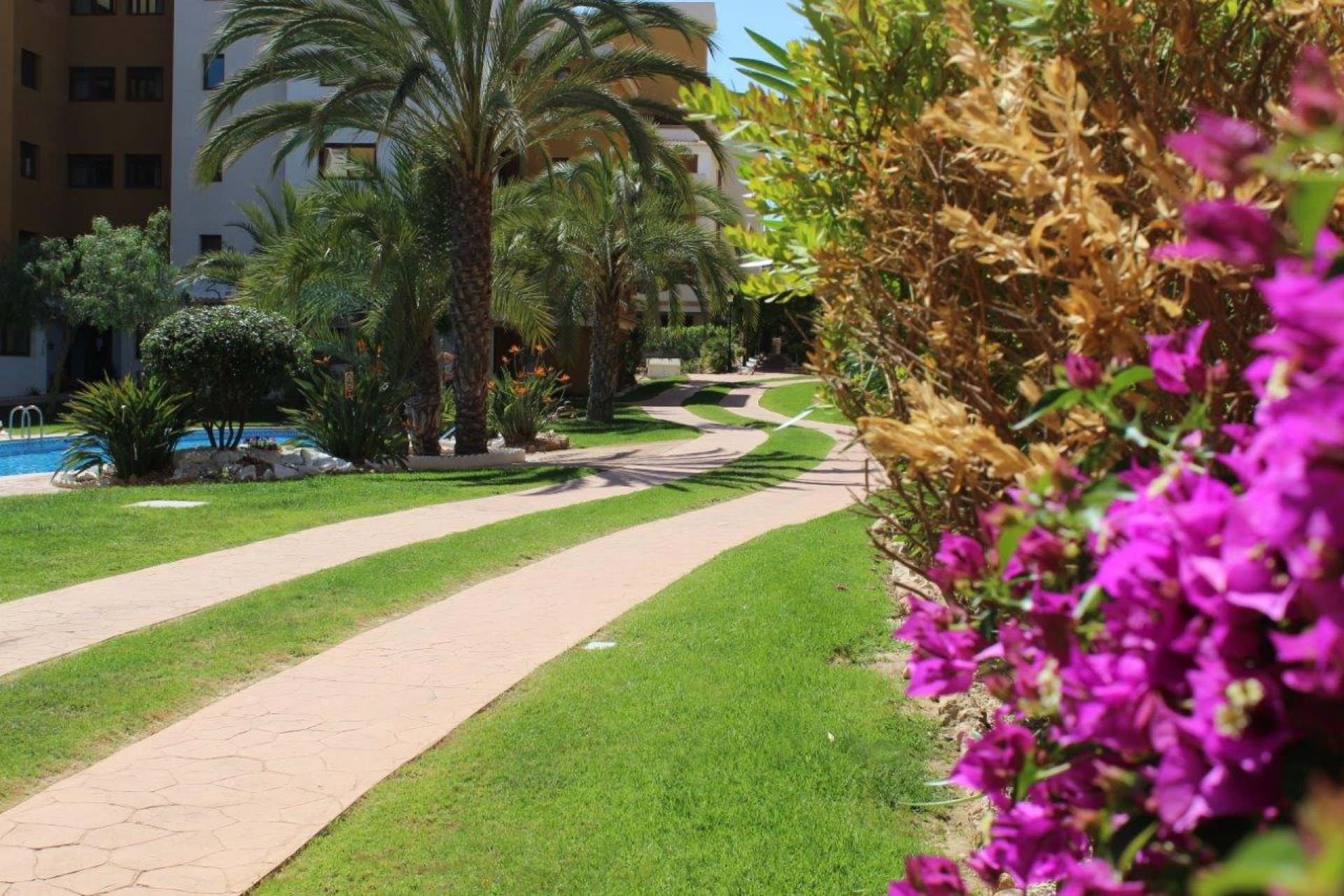 Återförsäljning - Apartment -
Punta Prima - La Entrada