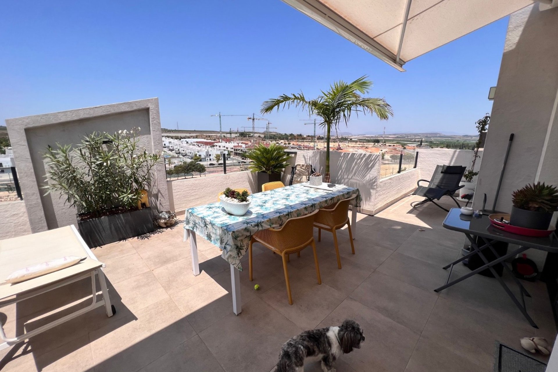 Återförsäljning - Apartment -
San Miguel - San Miguel Salinas