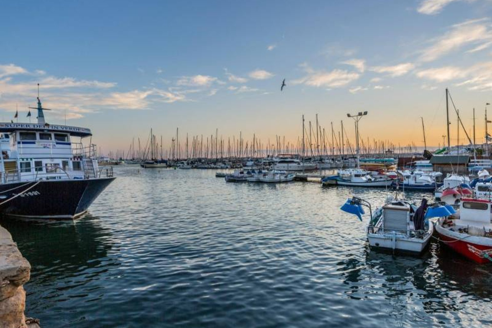 Återförsäljning - Apartment -
Torrevieja - Center