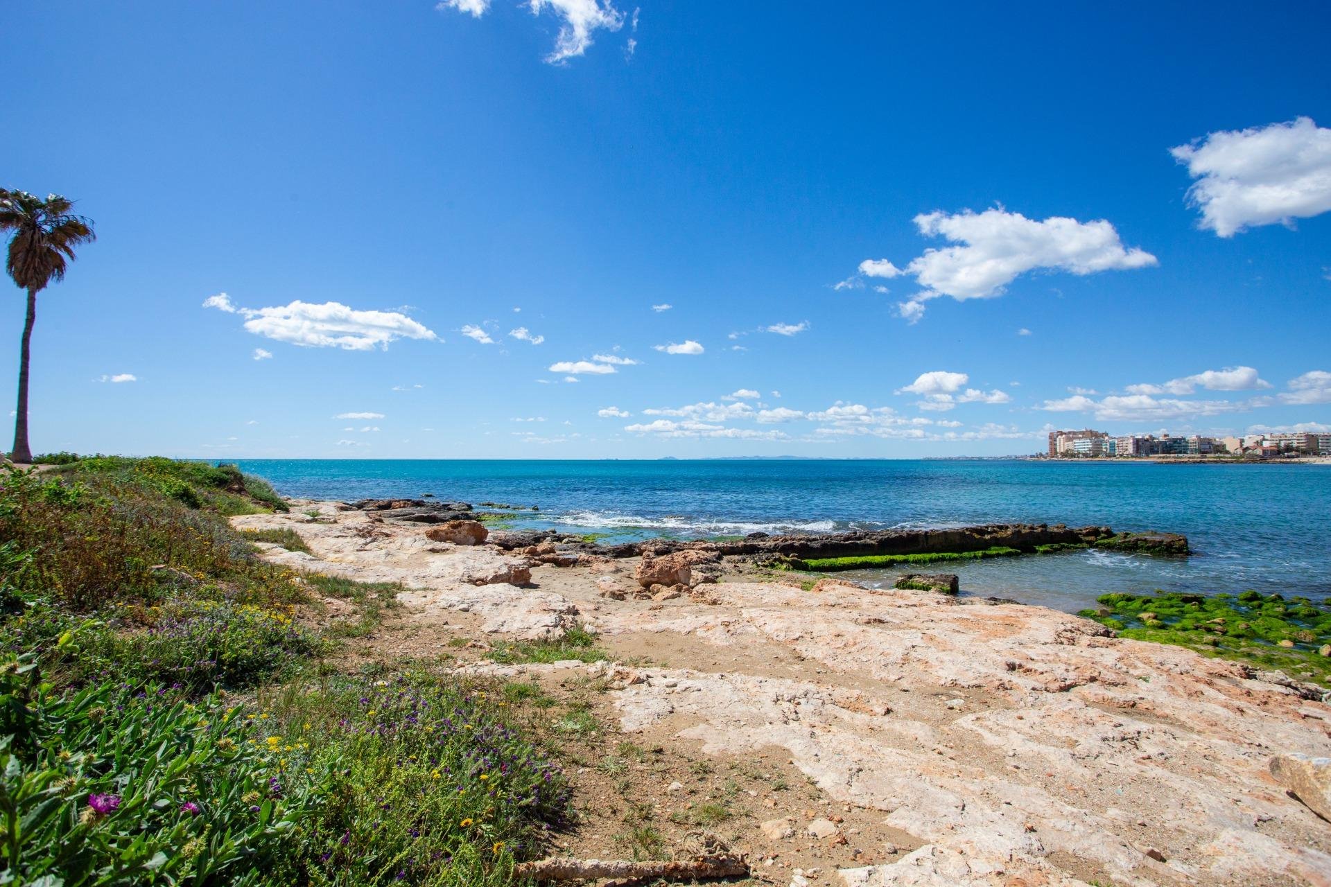 Återförsäljning - Apartment -
Torrevieja - Centro - Muelle Pesquero