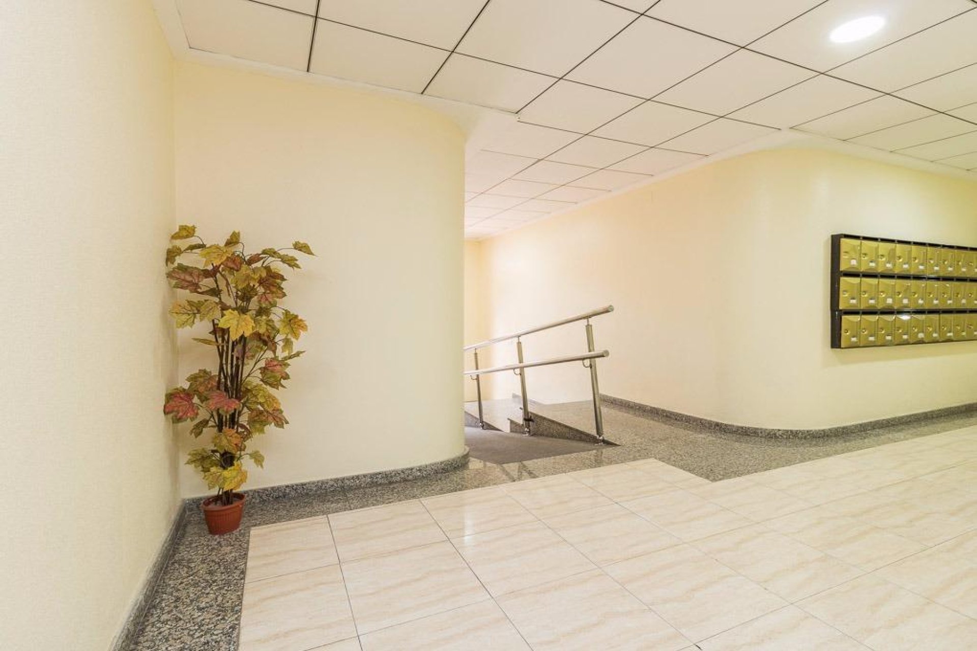 Återförsäljning - Apartment -
Torrevieja - Centro