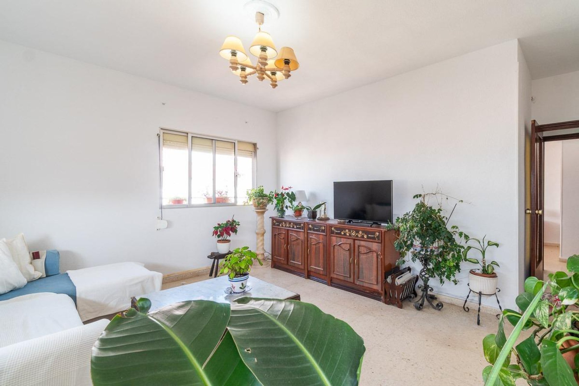 Återförsäljning - Apartment -
Torrevieja - Curva del Palangre