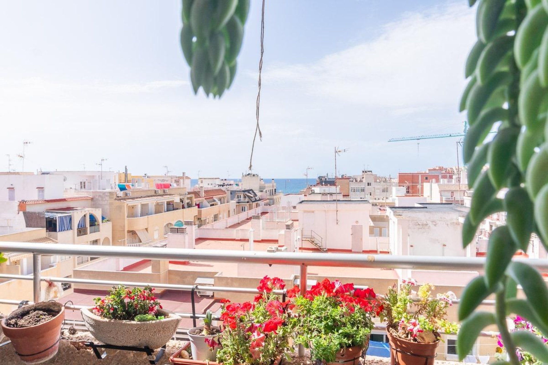 Återförsäljning - Apartment -
Torrevieja - Curva del Palangre