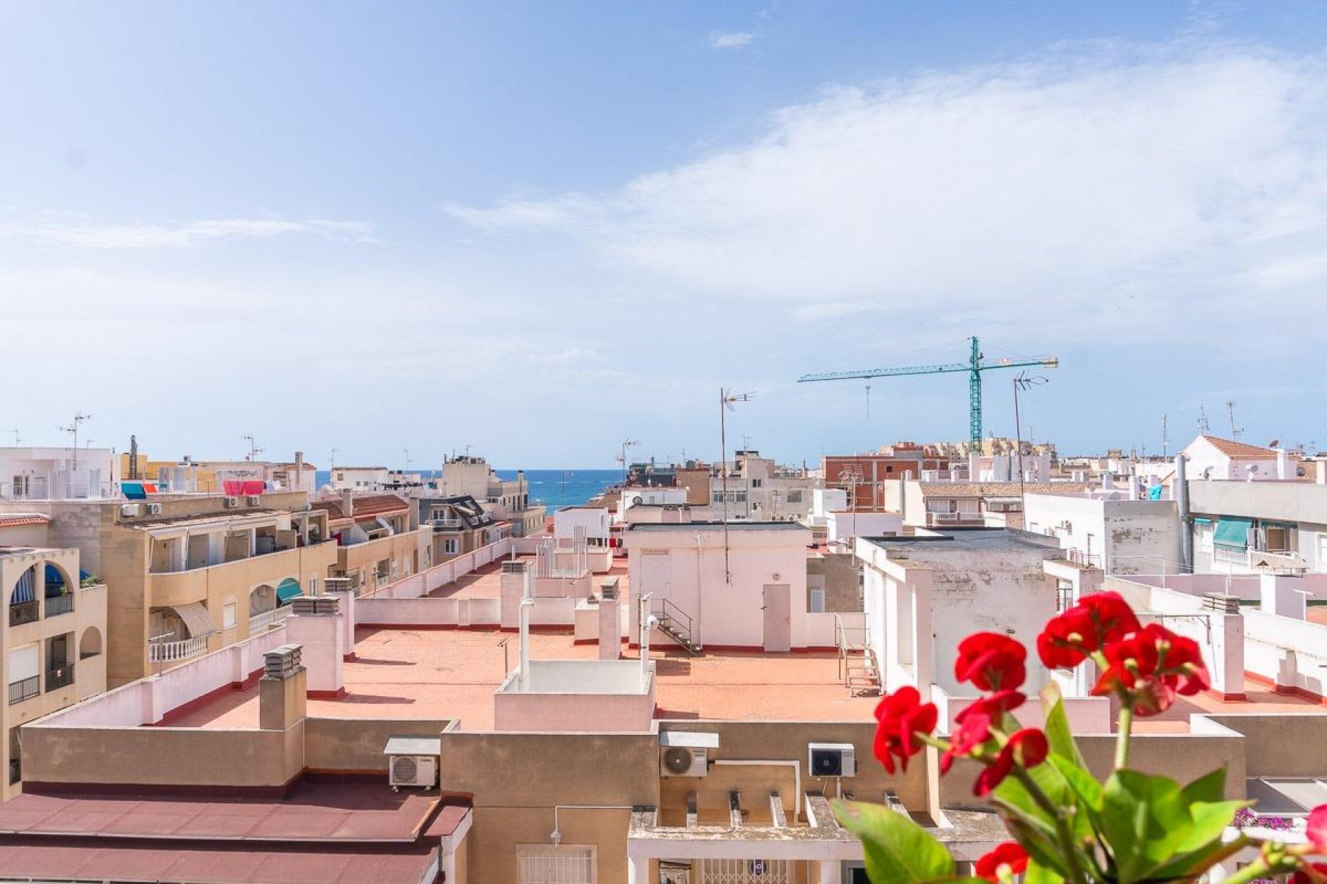 Återförsäljning - Apartment -
Torrevieja - Curva del Palangre