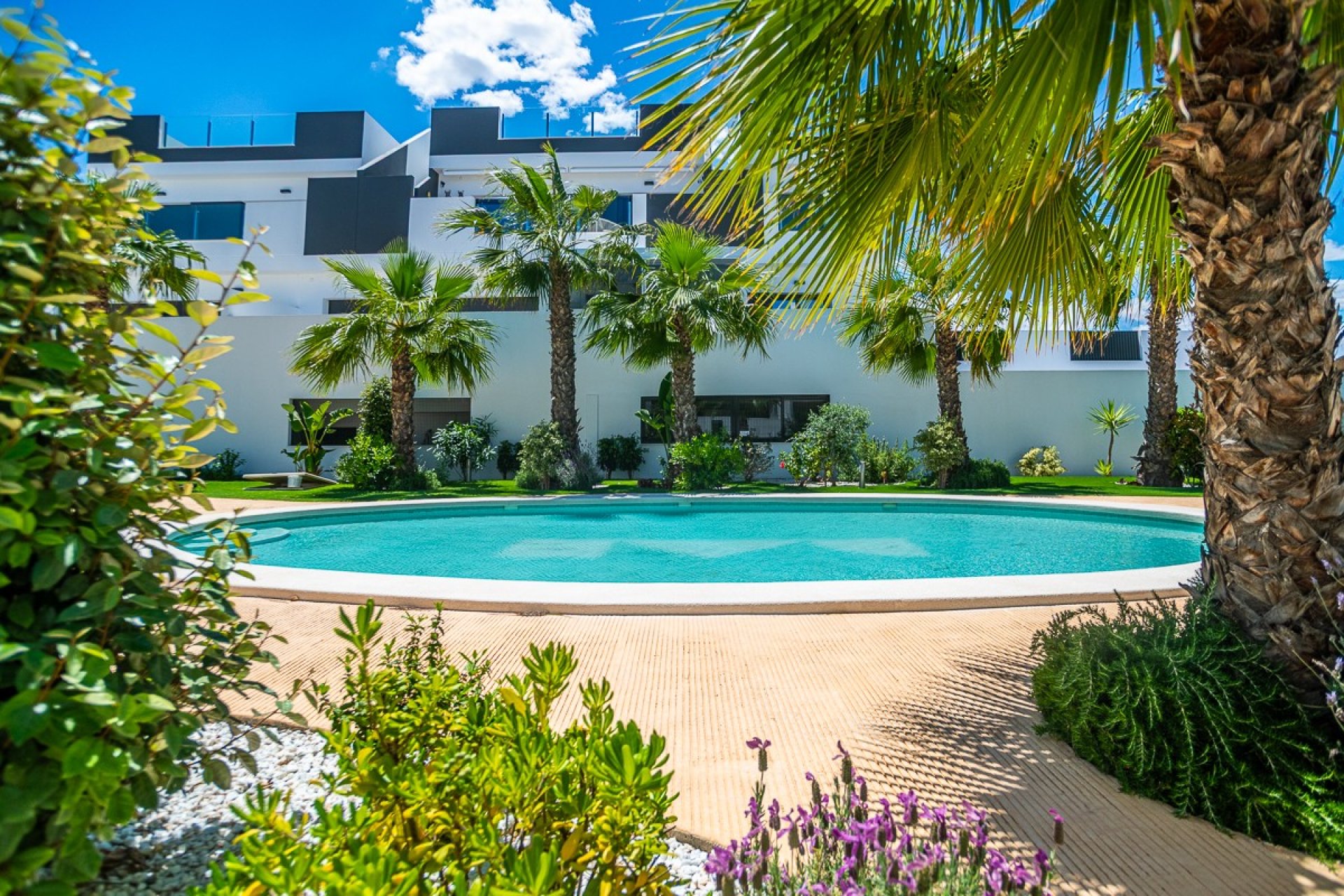 Återförsäljning - Apartment -
Torrevieja - LOS BALCONES - LOS ALTOS