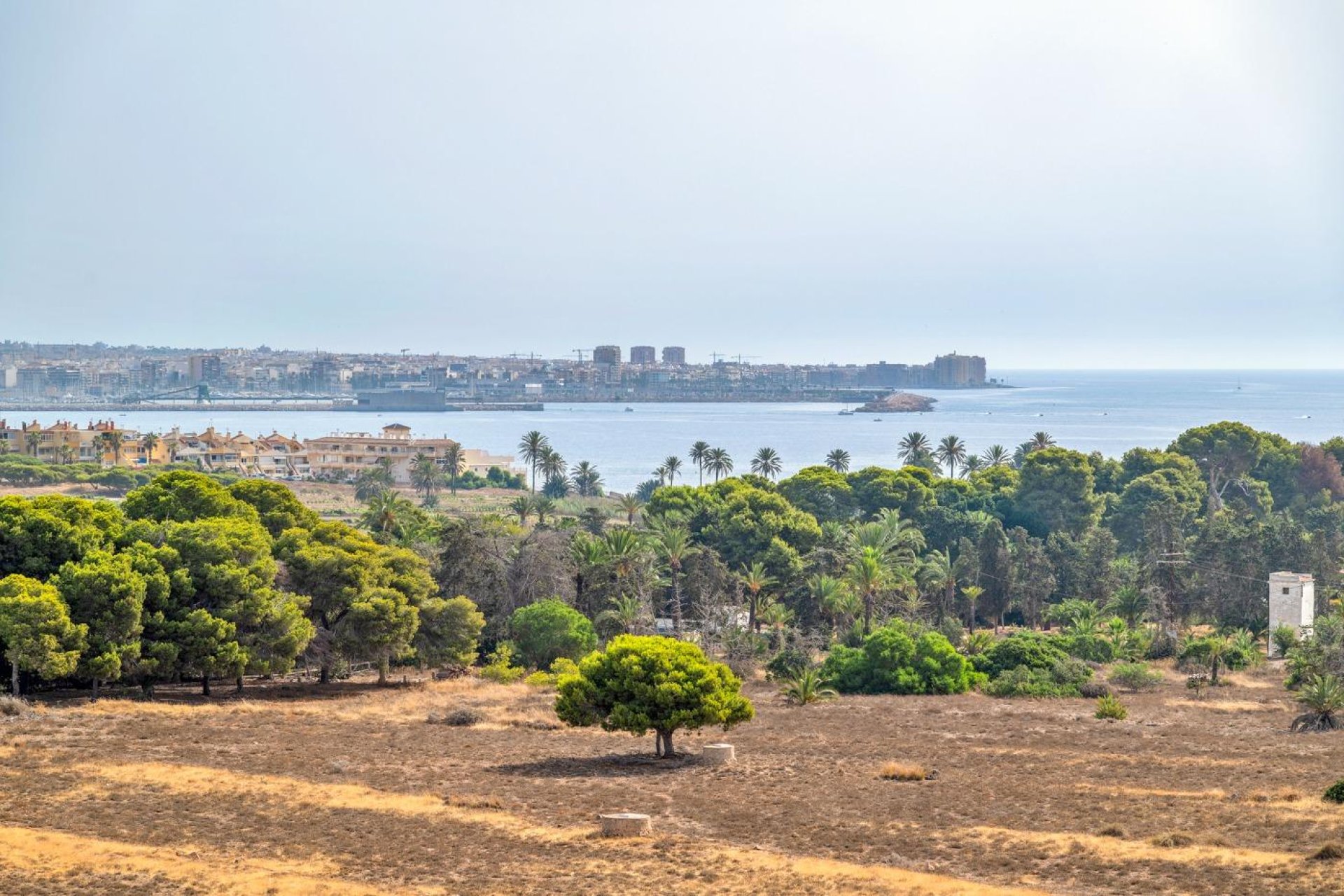 Återförsäljning - Apartment -
Torrevieja - Punta prima