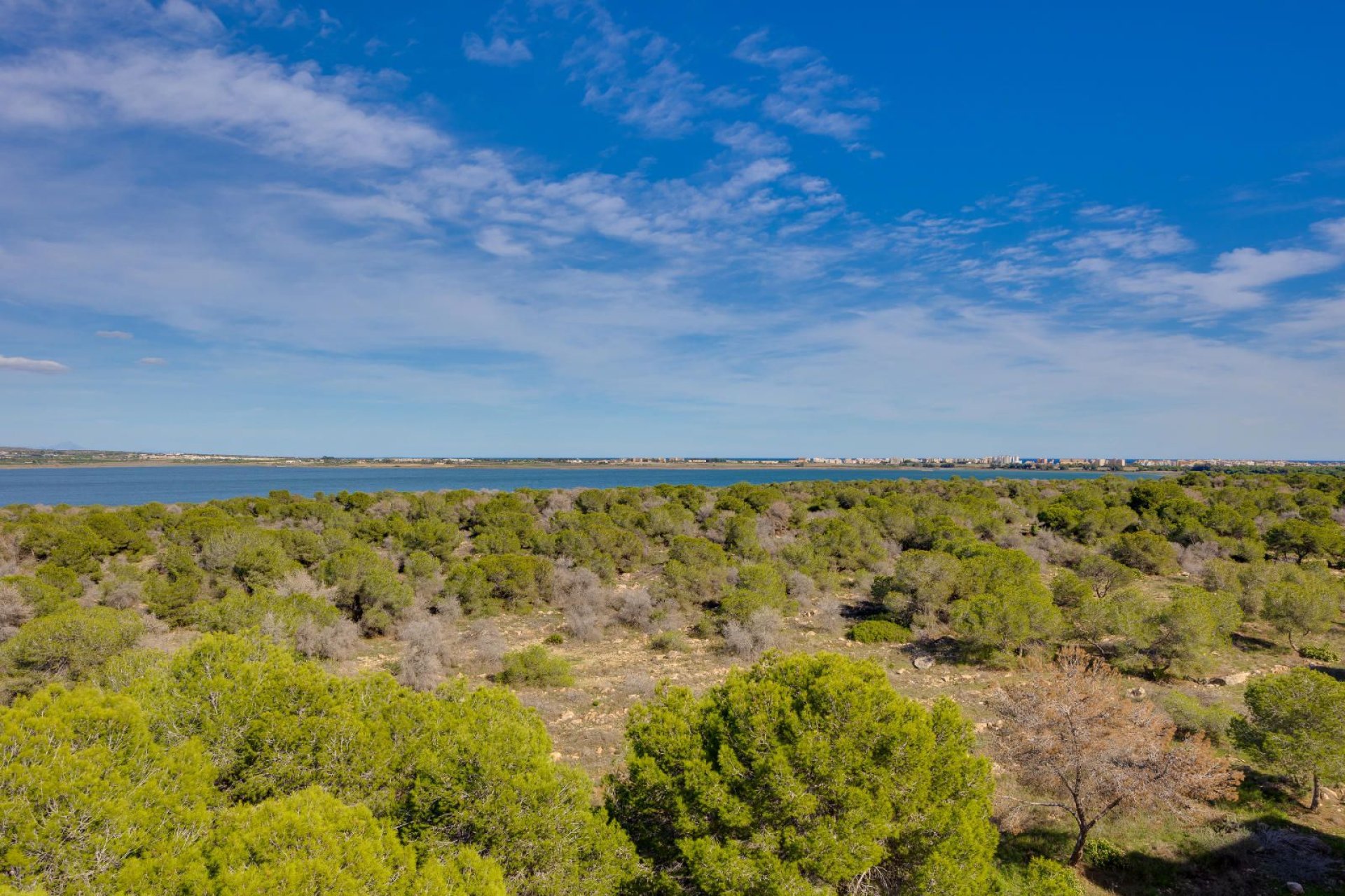 Återförsäljning - Apartment -
Torrevieja - San luis