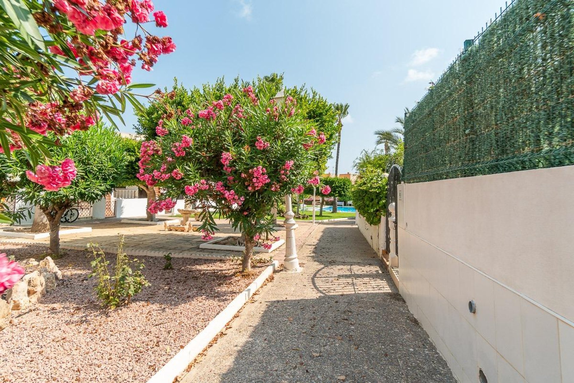 Återförsäljning - Apartment -
Torrevieja - Torreblanca