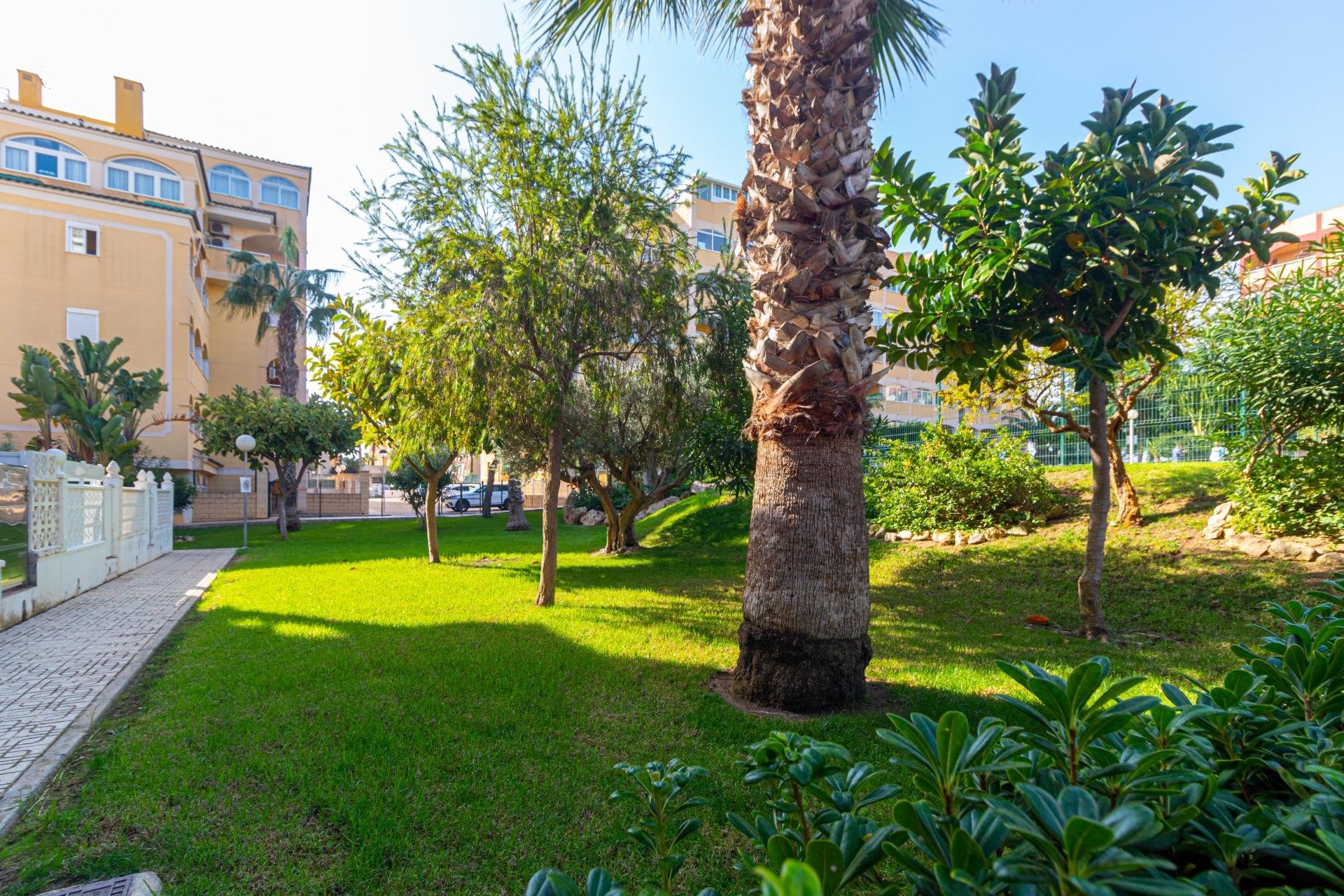 Återförsäljning - Apartment -
Torrevieja - Torreblanca