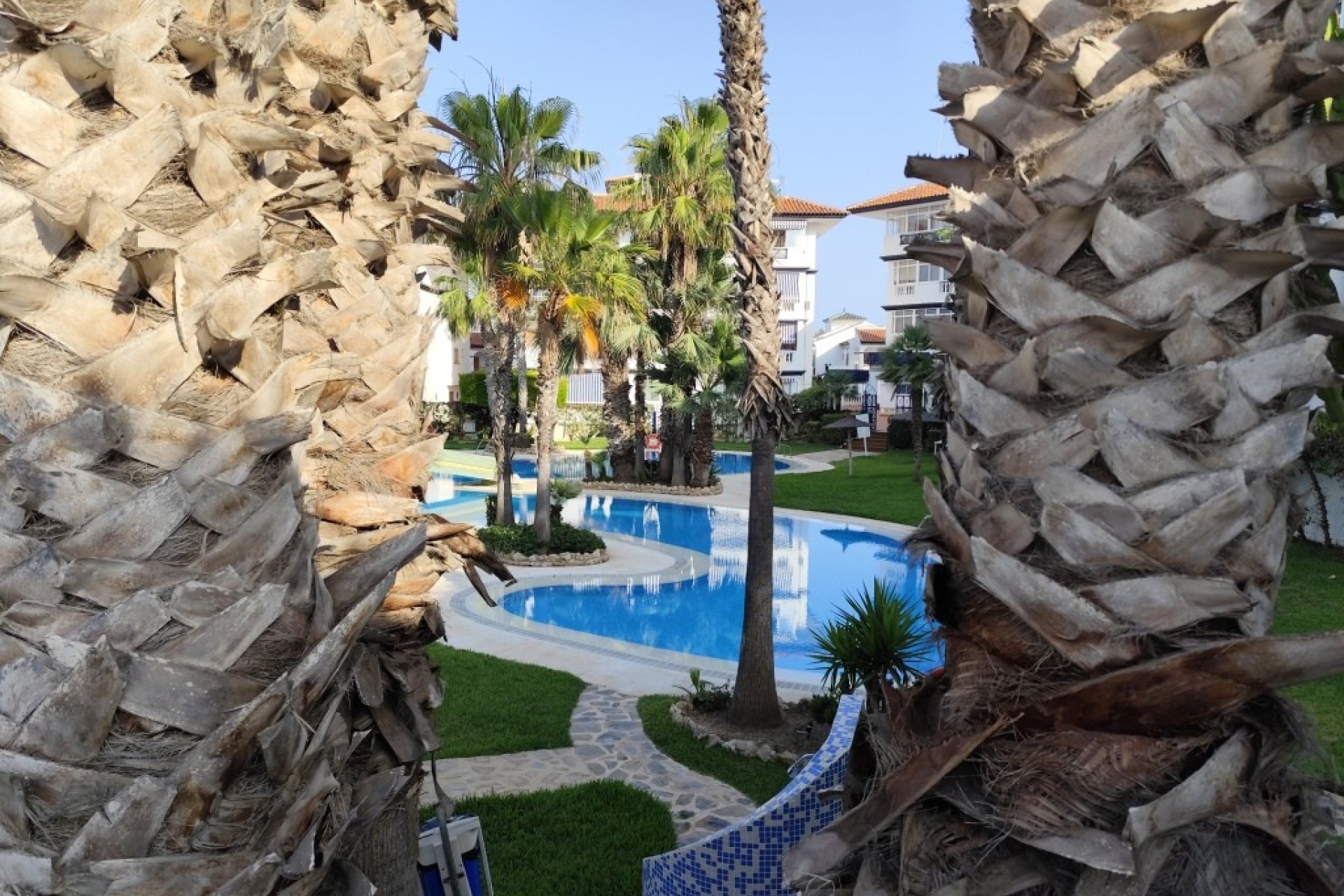 Återförsäljning - Apartment -
Torrevieja