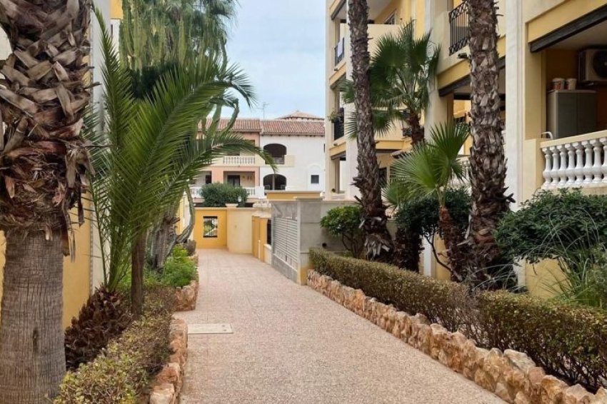 Återförsäljning - Apartment -
Torrevieja