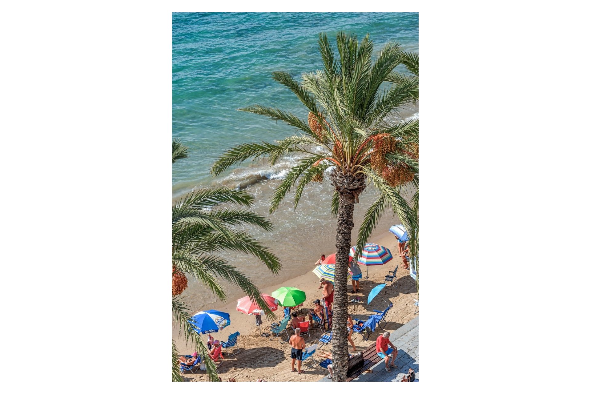 Återförsäljning - Apartment -
Torrevieja