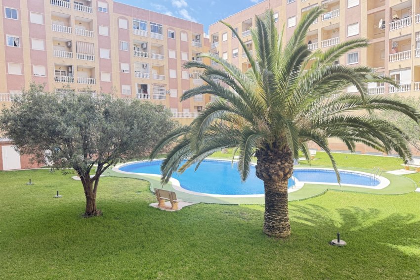 Återförsäljning - Apartment -
Torrevieja