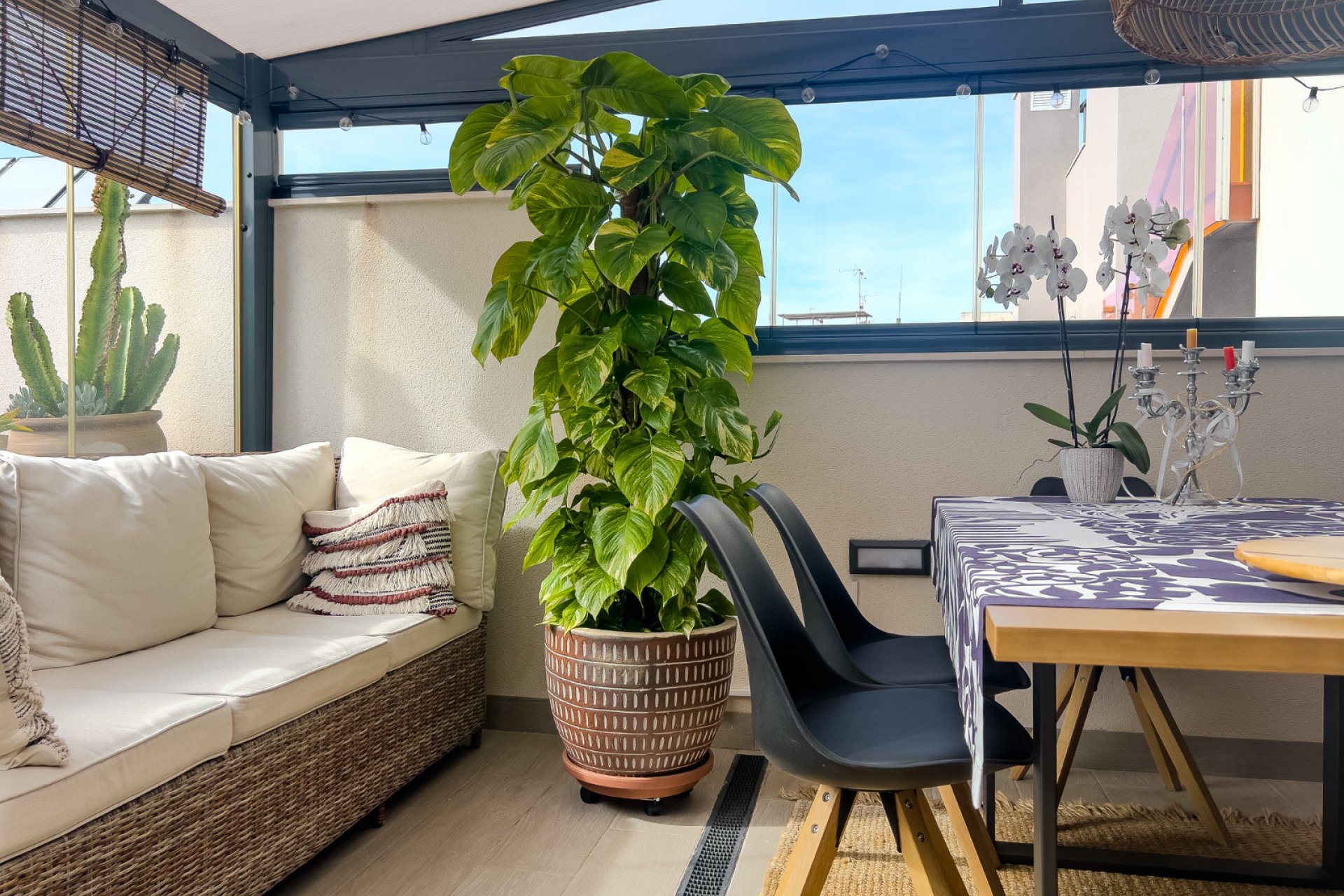 Återförsäljning - Apartment -
Torrevieja